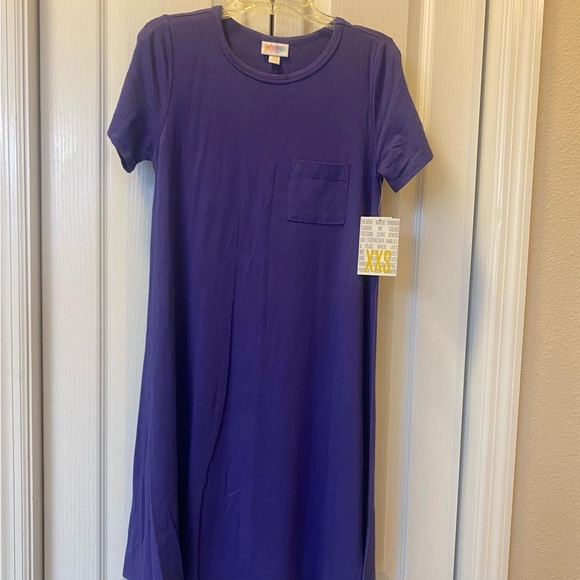 NWT LuLaRoe Carly Dress - Picture 1 of 4